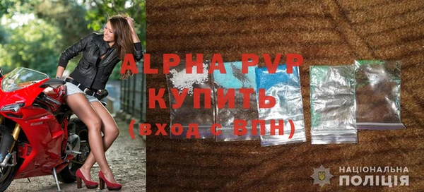 стафф Алексин