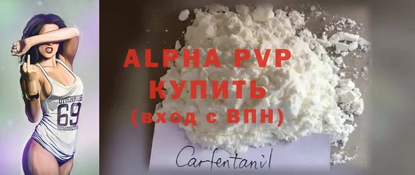 стафф Алексин