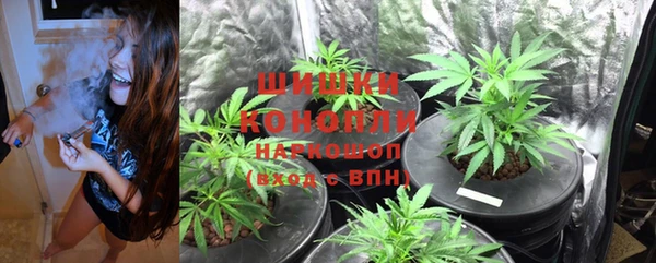 спайс Алексеевка