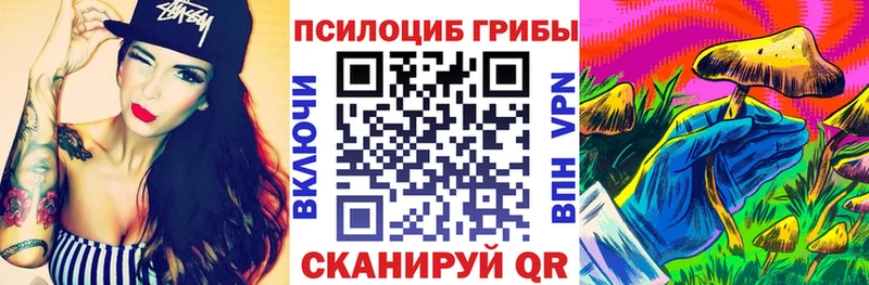 Галлюциногенные грибы Psilocybine cubensis Тосно