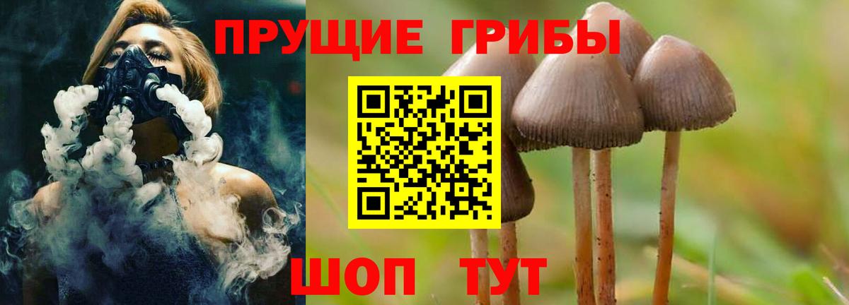 Псилоцибиновые грибы мухоморы  Псилоцибиновые грибы мицелий  купить наркоту  Тосно  Вход с VPN 
